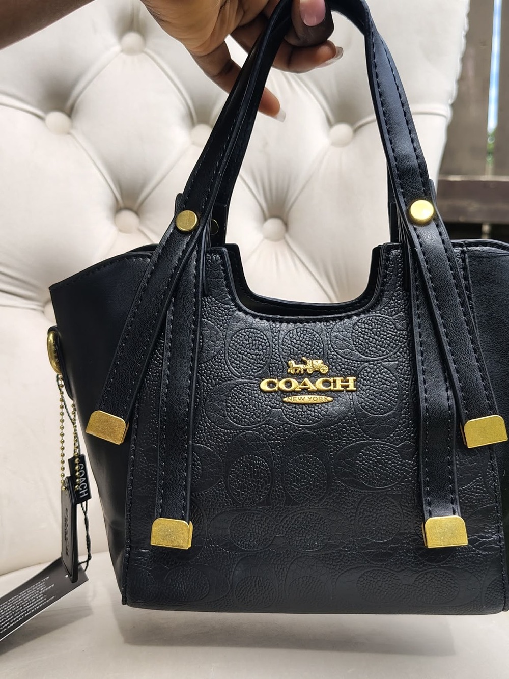 Cute Luxury Bag